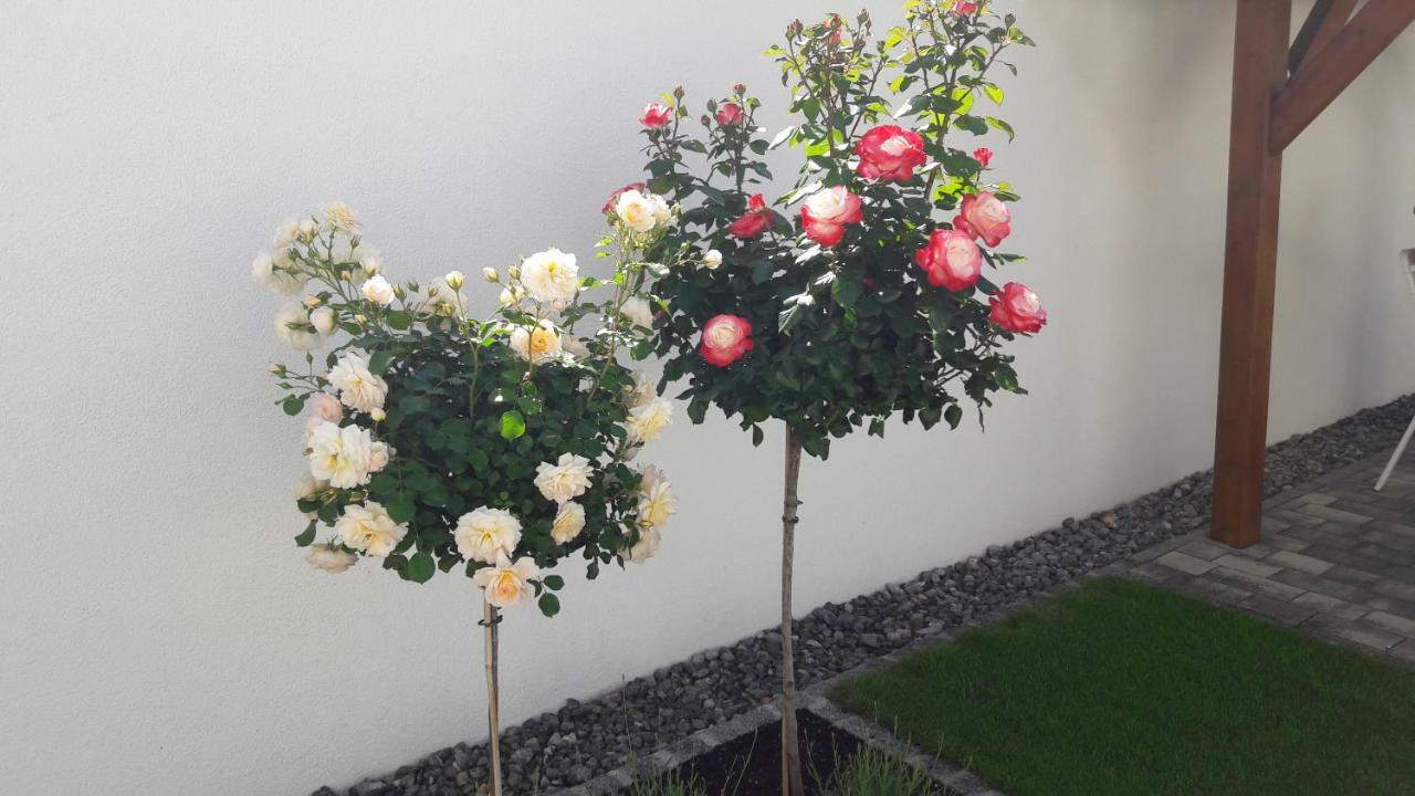 אילמיץ Appartments Gartenblick מראה חיצוני תמונה